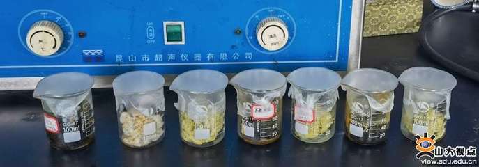 生物基材料技术研发 山大学子创新创业实践的奋斗乐章