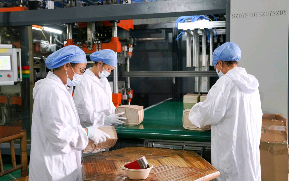 英德双轮驱动 生物基材料创新研发，铸就“百千万工程”三年新篇